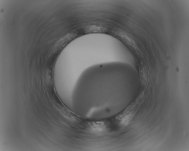 X0000070350361200606231603