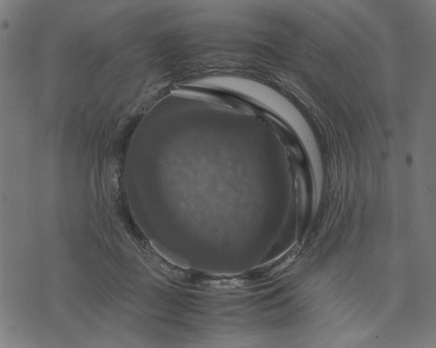 X0000070350363200606231603