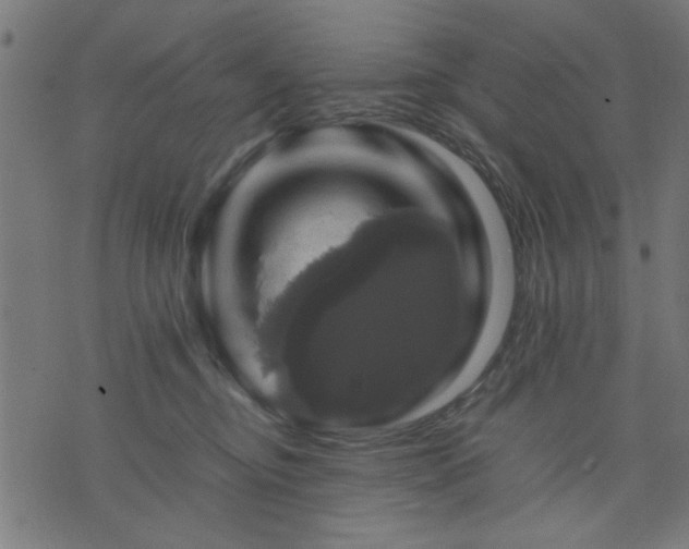 X0000070350374200606231603