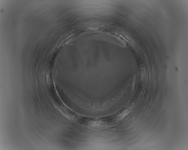 X0000070350408200606231602