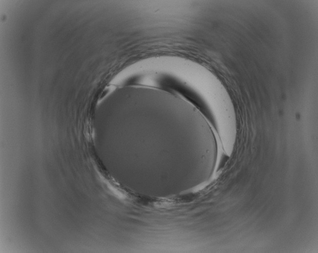 X0000070350419200606231602