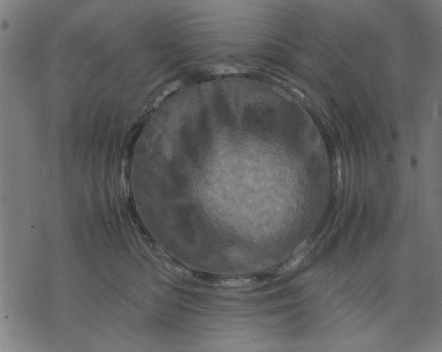 X0000070350422200606231602
