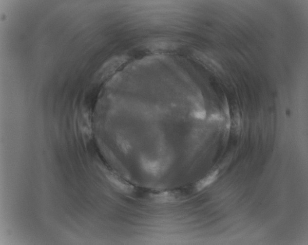 X0000070350430200606231602