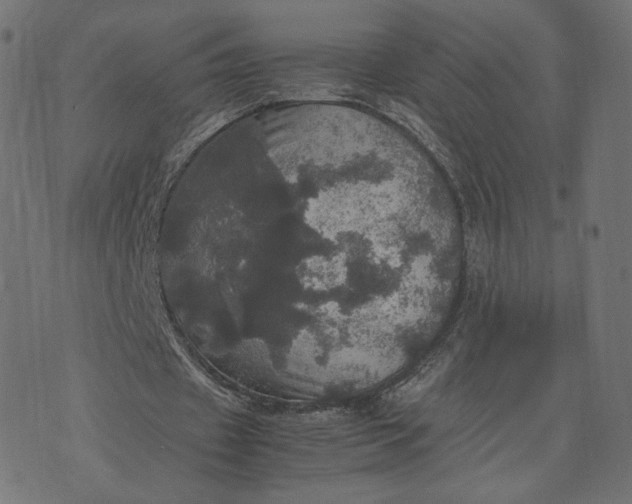 X0000070350433200606231601