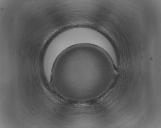 X0000070350448200606231601