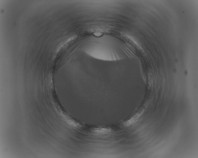 X0000070350453200606231601
