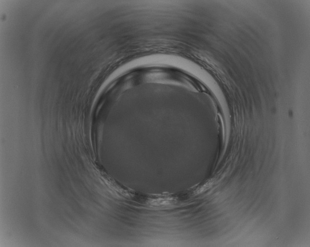 X0000070350461200606231601