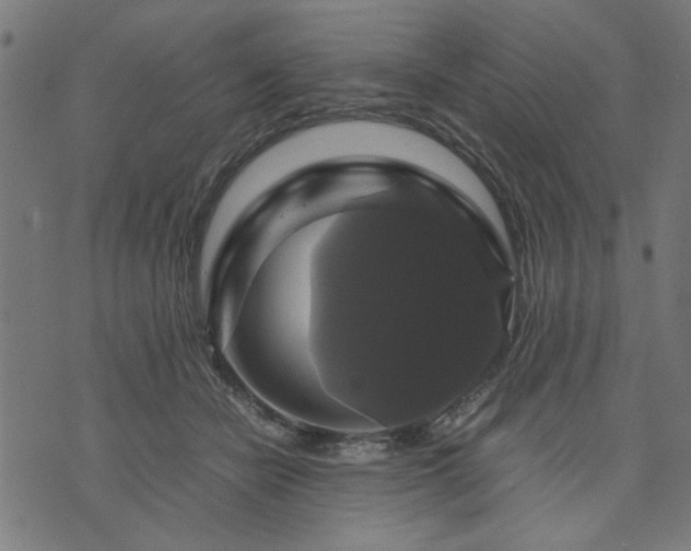 X0000070350462200606231601