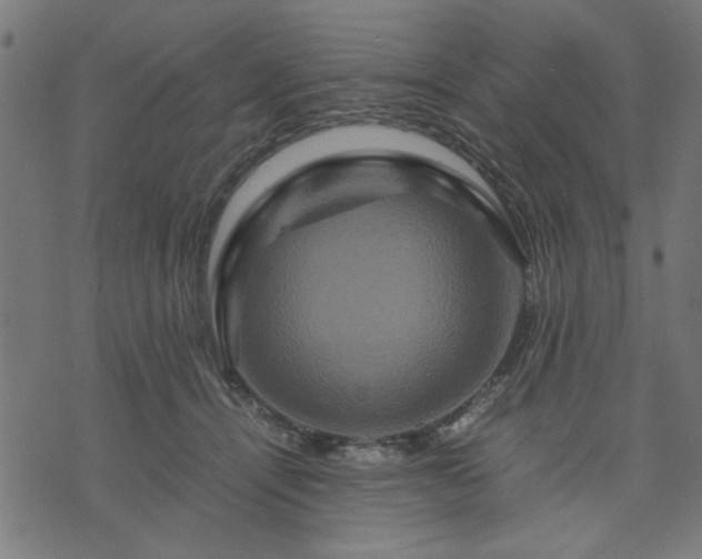 X0000070350464200606231601