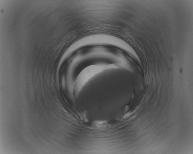 X0000070350466200606231601