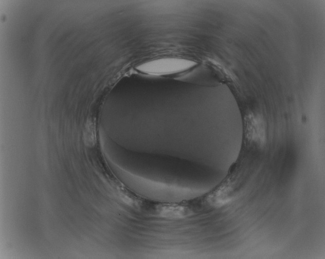 X0000070350471200606231602