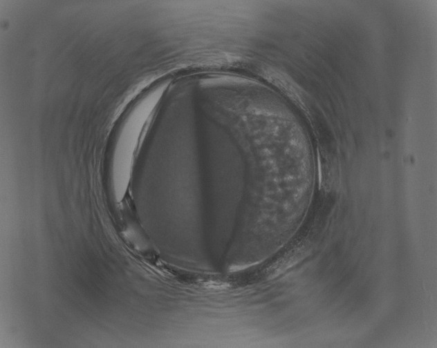 X0000070350483200606231601