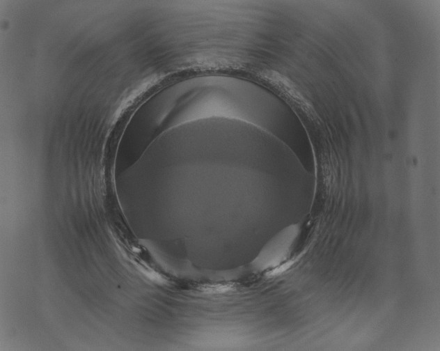 X0000070350488200606231601