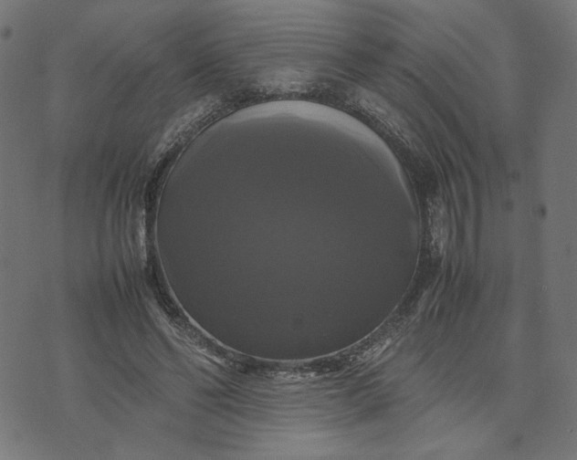 X0000070350494200606231601