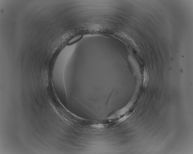 X0000070350496200606231601
