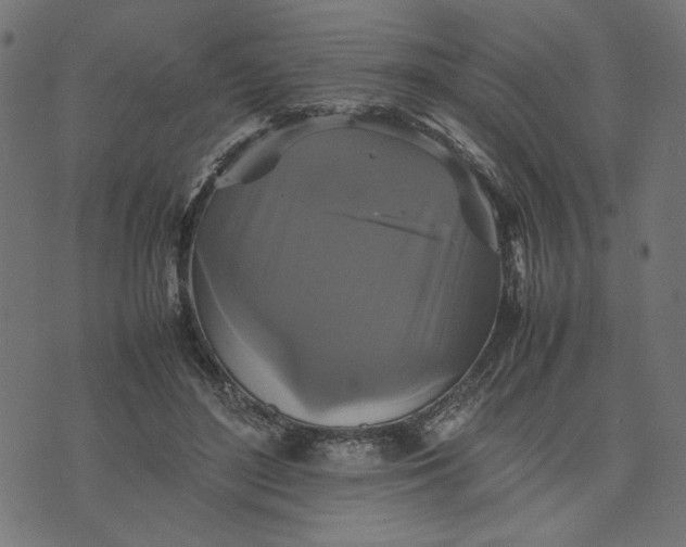 X0000070350500200606231601