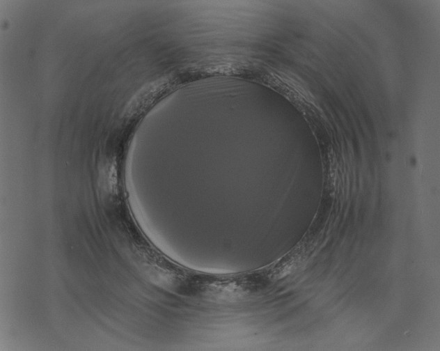 X0000070350502200606231601