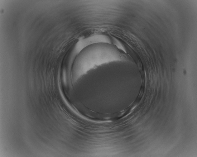 X0000070350510200606231600