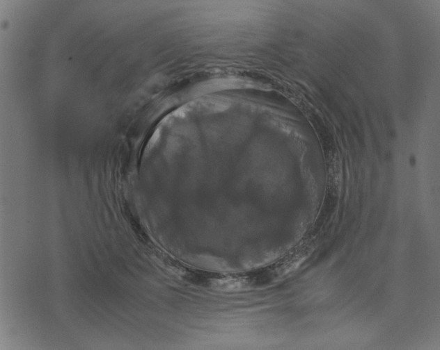 X0000070350511200606231600