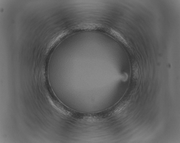 X0000070350538200606231600