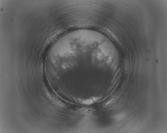 X0000070350542200606231600