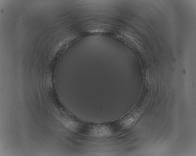 X0000070350547200606231600