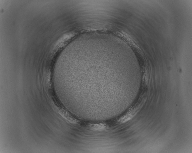 X0000070350548200606231600