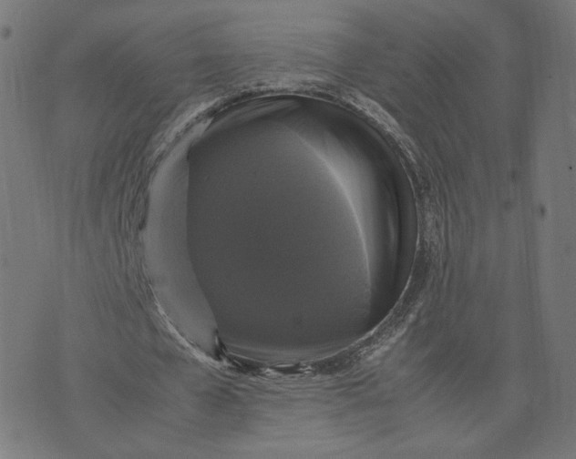 X0000070350577200606231559