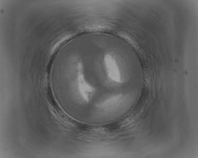 X0000070350583200606231559