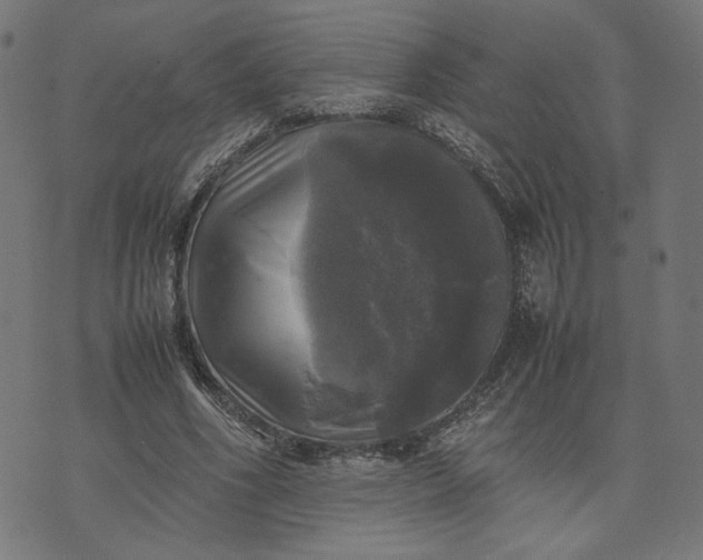X0000070350586200606231559
