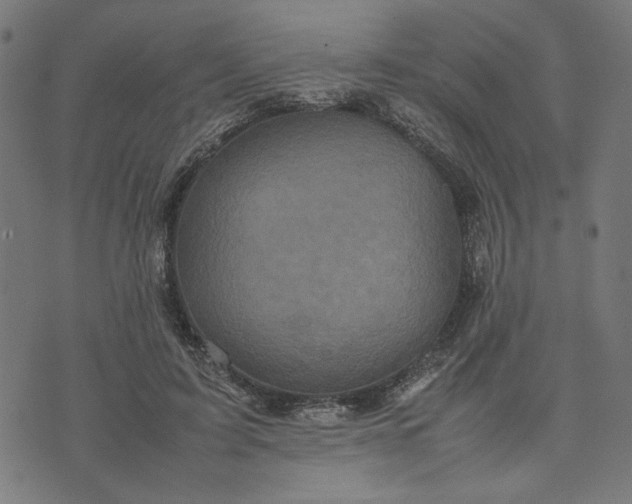 X0000070350595200606231559