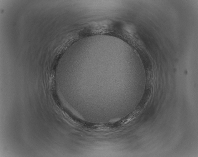 X0000070350601200606231559