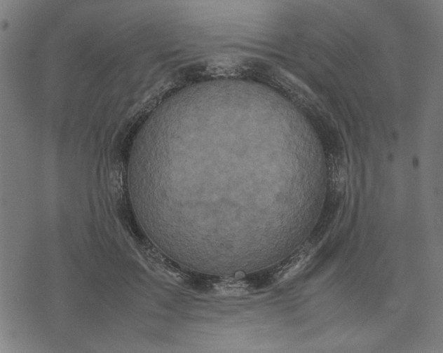 X0000070350603200606231559