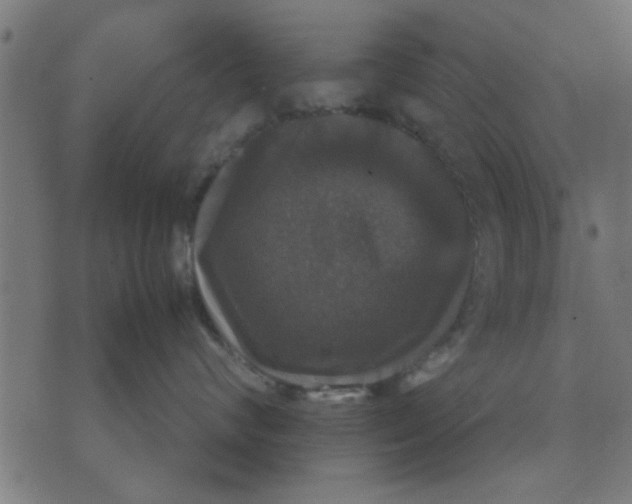 X0000070350624200606231559