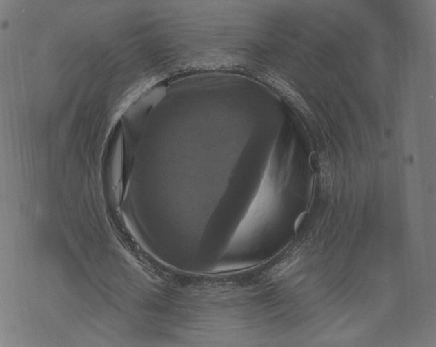 X0000070350626200606231558