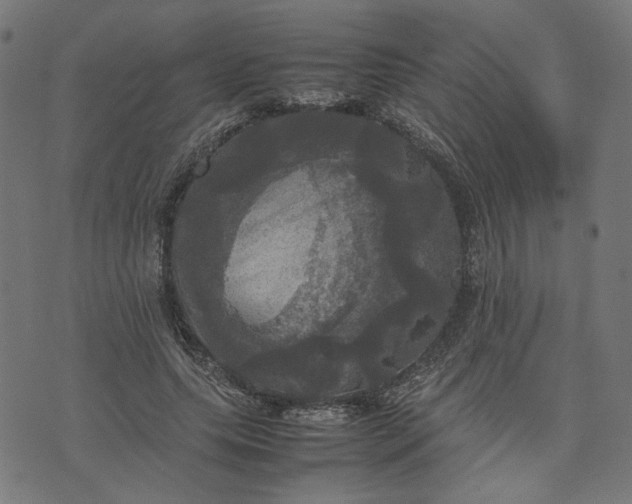 X0000070350639200606231558