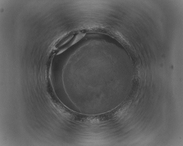 X0000070350640200606231558