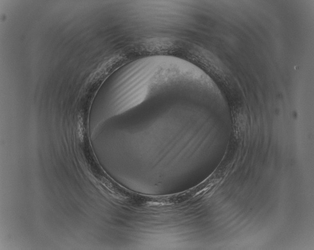 X0000070350644200606231558