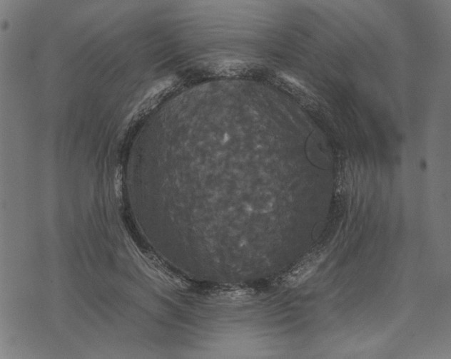 X0000070350646200606231558