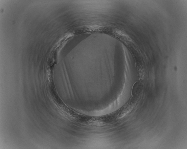 X0000070350648200606231558