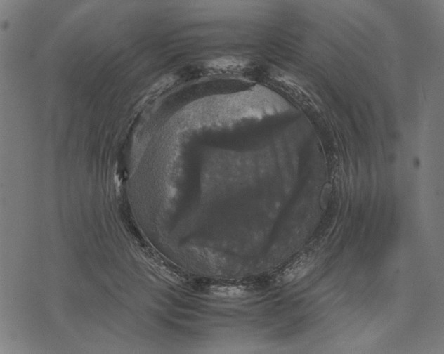 X0000070350649200606231558