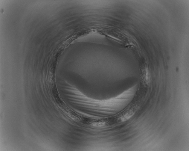 X0000070350653200606231558