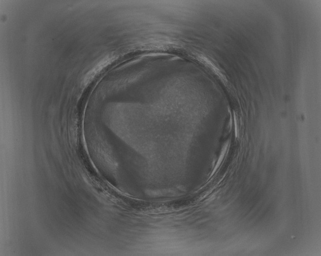 X0000070350675200606231558
