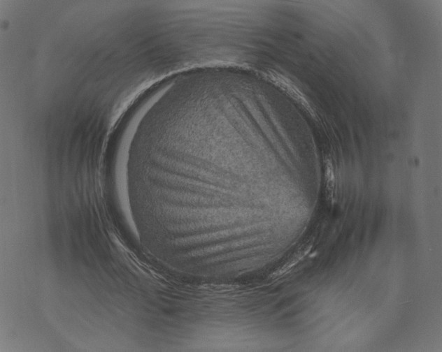 X0000070350676200606231558