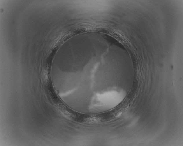 X0000070350691200606231558