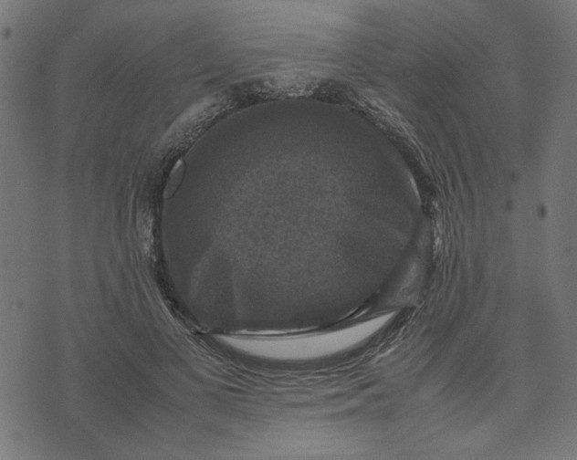 X0000070350693200606231557