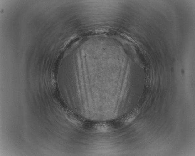 X0000070350704200606231557