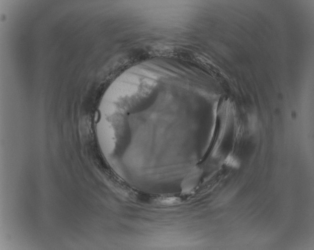 X0000070350711200606231557