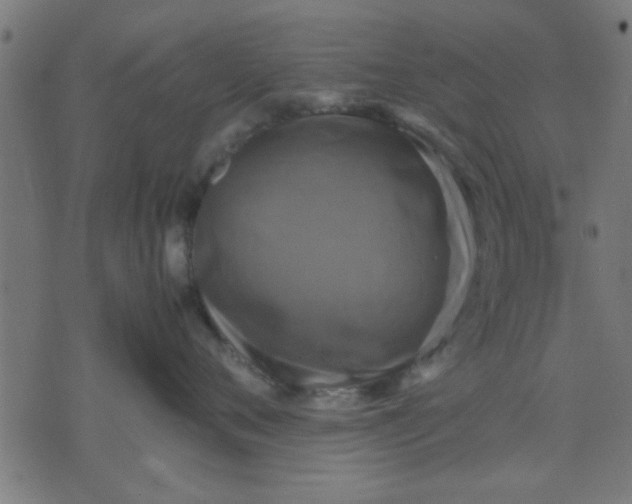 X0000070350720200606231557