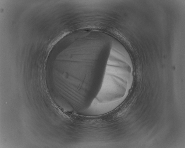 X0000070350721200606231556